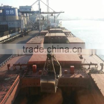 Chartering Broker / Cargo Shipment / Time Charter / Voyage Charter