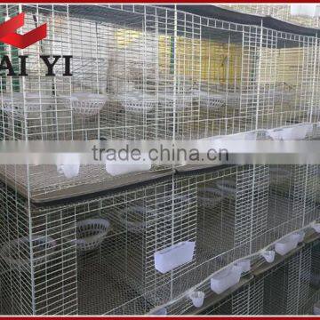 Hot Sale Galvanized Iron Wire Pigeon Cage