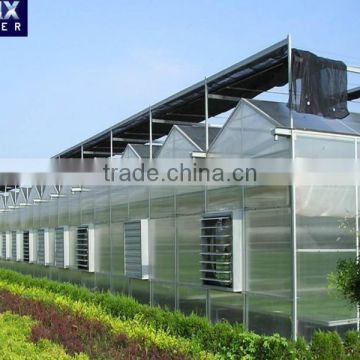 Glass greenhouses with inside shading screen