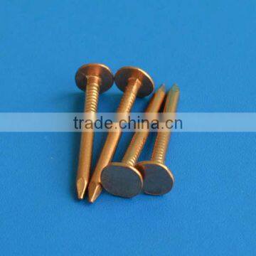 copper nails for boat for sale