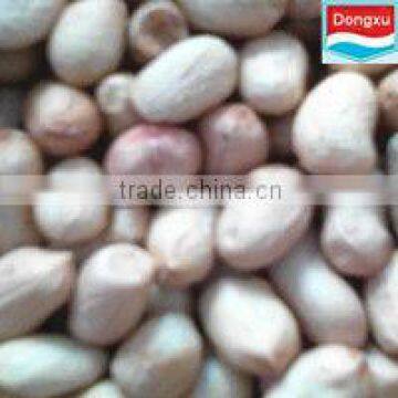 good quality peanut from china