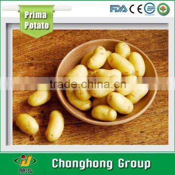 [HOT] 2015 new crop potato/2015 potato