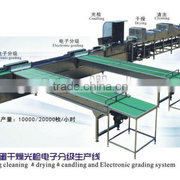 stainless 10000/20000pcs/h egg cleaning drying candling and electronical grading machine
