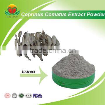 Most Popular Coprinus Comatus Extract Powder