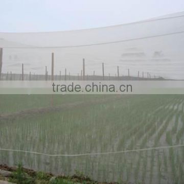 Top Quality Insect Proof Net