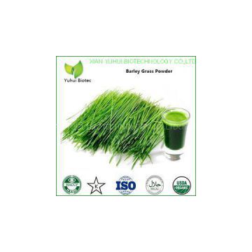 Barley Grass Powder,organic barley grass powder,barley grass juice powder