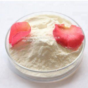 Food Grade Polydextrose Granule 68424-04-4 Glucose Polydextrose Powder