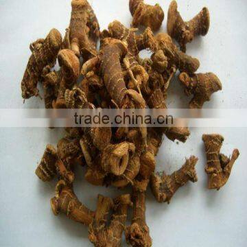 2015 new crop galangal root