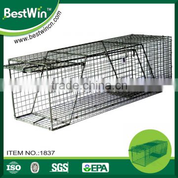 BSTW passed BV certification galvanized welded animal trap cage