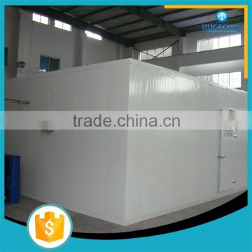 New brand hot sale commercial building a deep freezer cold room