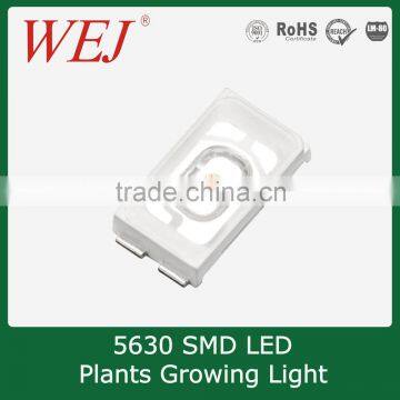450~455nm plant smd led 5630pkg