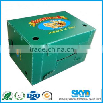 plastic crates for fruits plastic box for vegetable