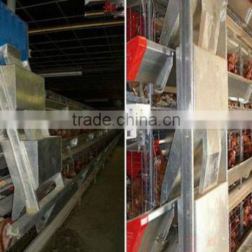 Type Metal Chicken cage(factory)