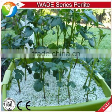 High Quality Soilless Agriculture Expanded Perlite Price