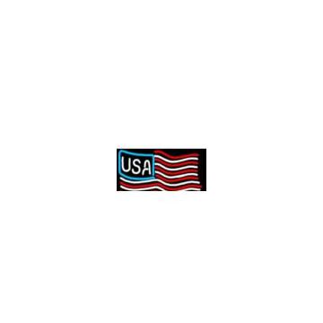Neon USA Flag