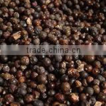 Juniper Berry Oil from Juniperus communis