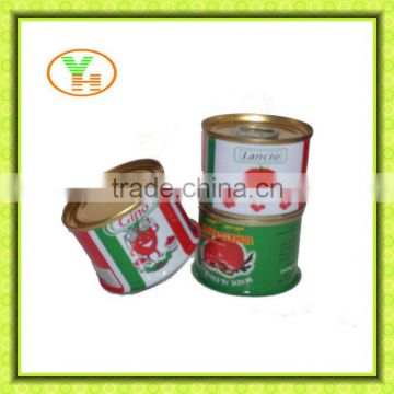 70G-4500G China Hot Sell Canned tomato paste,organic tomatoes fresh
