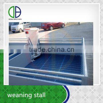 Livestock Raising Equipment Weaning Stall Piglet Nursery Stall