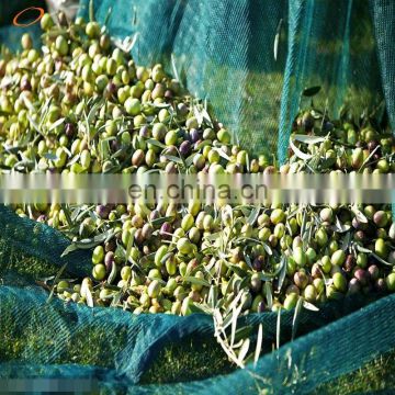 export quality virgin hdpe falling fruit collect harvesting olive net