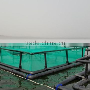 HDPE square fish cage for tilapia farms
