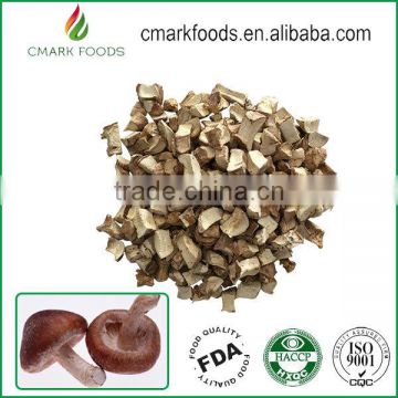 Wholesales dried oyster Mushroom spawn power price