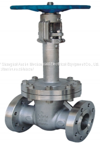 ANSI Cryogenic Gate Valve