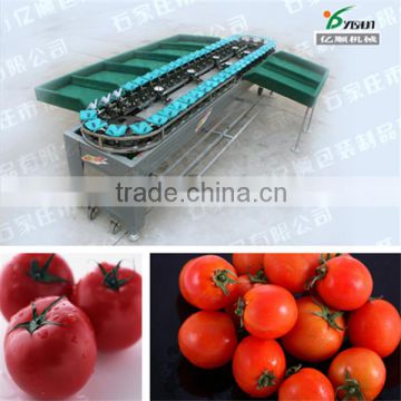Vegetable and fruit selecting machine