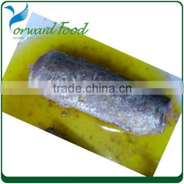 best canned sardines manufacturers in oil