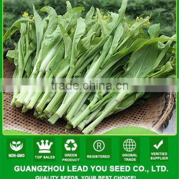 NPK22 Guoqu seeds pak choi for agriculture,vegetable seeds company