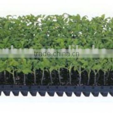 China supplier Best Choice competitive price agriculture seed tray
