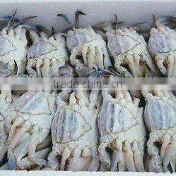 well selling mud crabs