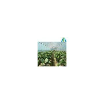 Agriculture Tunnel Greenhouse on Sale