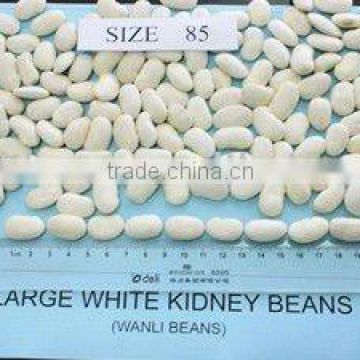 Large white kidney beans