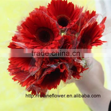 Promotional preserved flower wholesale fresh cut flowers golden sun gerbera for decoration from kunming