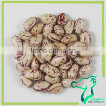 All Size Of South American Round Light Speckled Kidney Beans