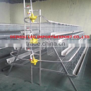 LEO-120 chicken cage for chicken layers in Zimbabwe