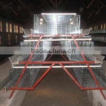 galvanized steel made cages for laying hens used