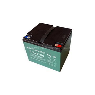 Maintenance Free Lead Acid Electric Bicycle Battery