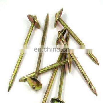 high quality galvanized coil roofing nails from Chinese Factory