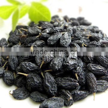 high quality seedless currant black raisins