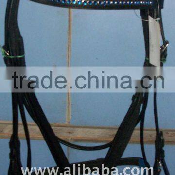 horse Bridle