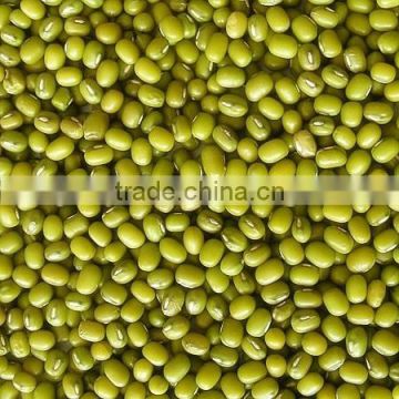 Organic green mung bean