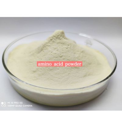 Plant Nutrition Enzymatic Amino Acid 80% Powder Organic Nitrogen 16-0-0