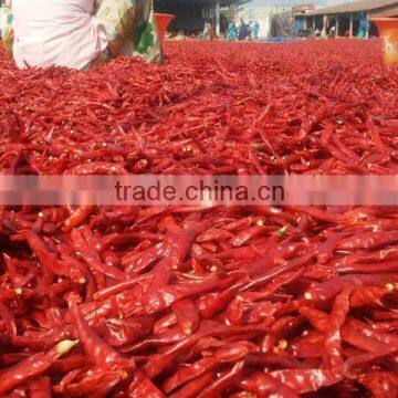 Dry red chilli from guntur