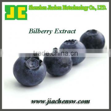 Supply Bilberry P.E. with Anthocyanidin 25%, high quality & In stock