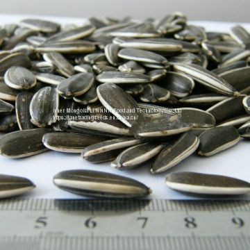 Chinese Organic Sunflower Seeds