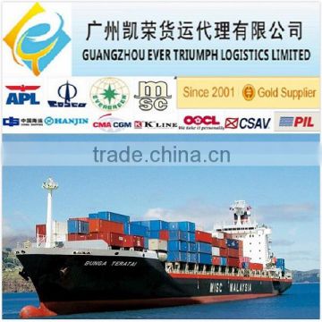 DDU/DDP Sea freight from China to Singapore