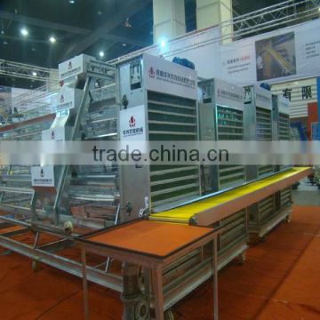 commercial chicken wire mesh cage with auto-equipments