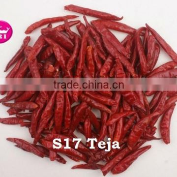 Teja S17 SMALL RED DRY CHILES