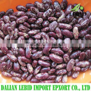 Purple Kidney Beans